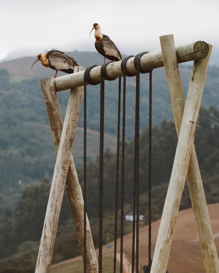 Lodge O Refugio